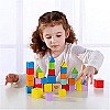 Vaikiškos medinės spalvotos kaladėlės dėžutėje Tooky Toy