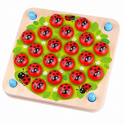 Tooky Toy Atminties Žaidimas Ladybug